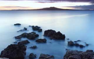 TRUMP官方：晚宴唯一表情包互动幸运名额在明天前公布