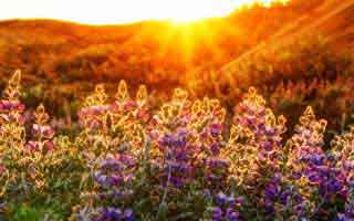 ChatGPT 分析瑞波币价格预测：XRP 达到 100 美元的可能性有多大？