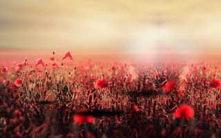 Solana展现强劲势头：距离200美元仅一步之遥