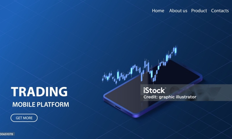 DGP币的价格和发行总量有哪些变化?最新数据分析