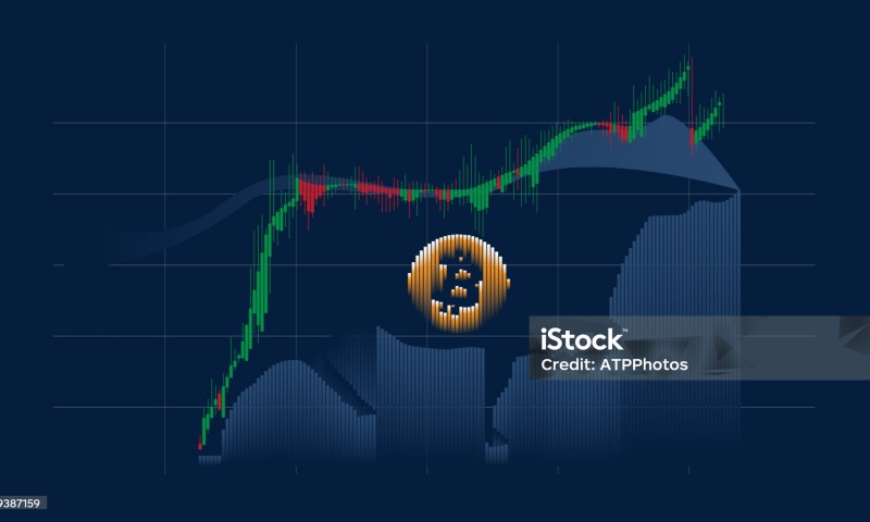 冷钱包地址是否公开会影响安全?深度分析潜在风险