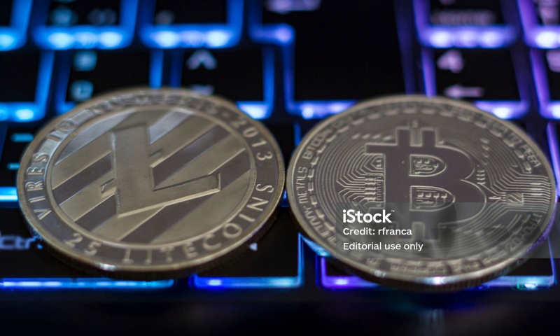 秋田犬币和柴犬币哪一个更值得购买?比较两者的投资潜力