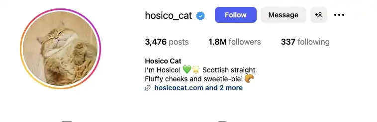 Bonk生态强势复苏:五大潜力项目全面解析