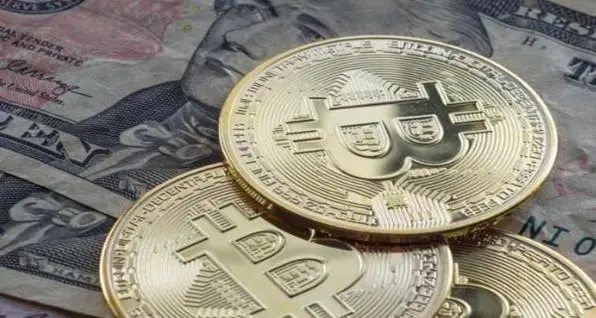 SLP币作用解析：赋能区块链宠物游戏生态与交易
