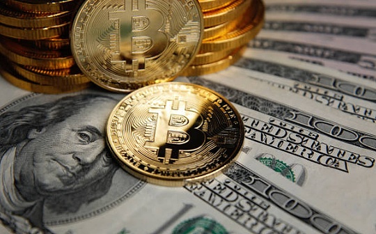 山寨币暴涨后走势如何