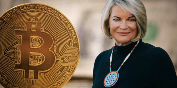 bitPoint交易所安全性评估 | 数字资产平台风险测评与选择
