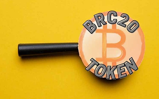 柚子币还有翻身可能吗