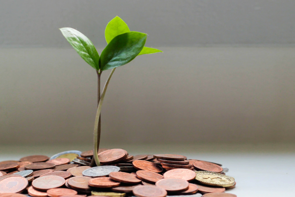 莱特币最高价格达到多少