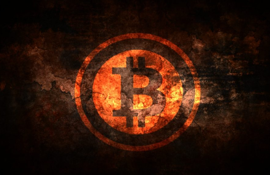 kishu币未来最高多少倍