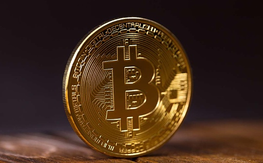 Mob币发行时间与价值解析 | Mob币市场前景分析
