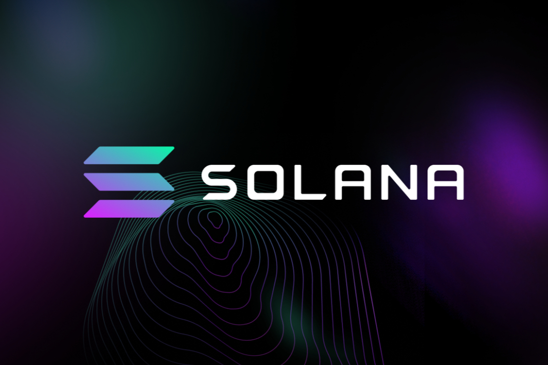 花了多少比特币买披萨