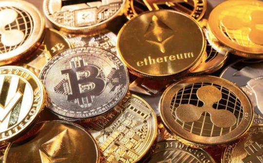 狗狗币交易安全指南 | 数字资产钱包防护策略详解
