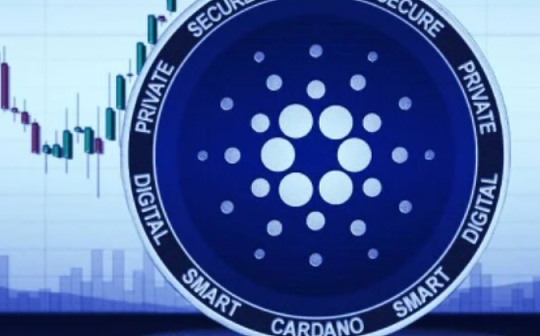 北交所开户资金要求详析 | 个人投资门槛与策略指导
