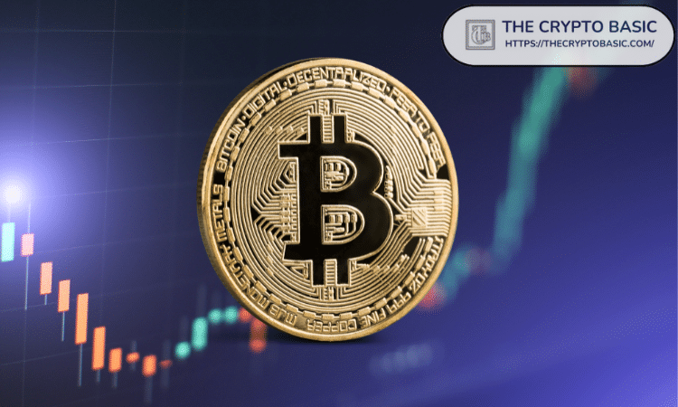 APE投资价值分析 | 揭秘其数字货币的潜力与风险
