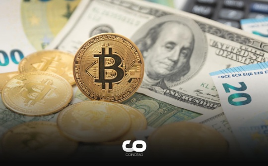 波场币怎么赚钱