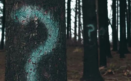 比特币还能买吗 | 比特币未来趋势与投资策略探讨
