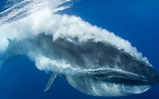 炒币短线操作指南｜虚拟货币投资策略解析
