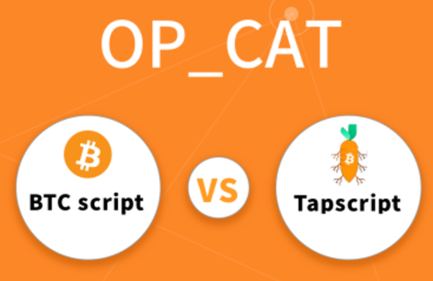 比特币买一百的话能赚多少