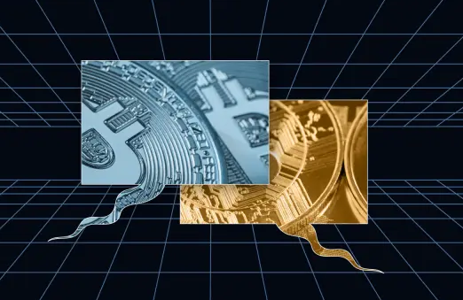 usd是哪个国家的钱币