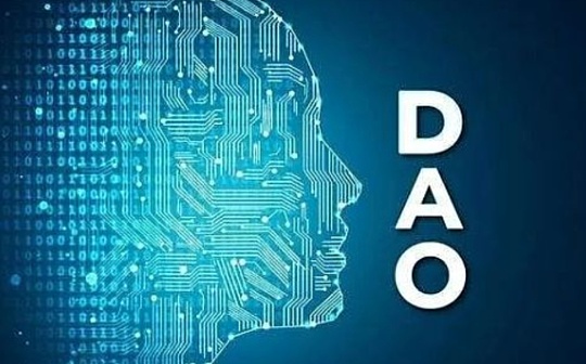 Polydoge币未来前景如何 | 投资潜力与风险分析
