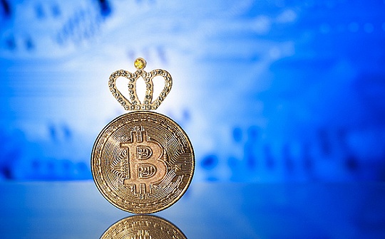 山寨币的未来趋势分析 | 山寨币风险评估与投资策略探讨