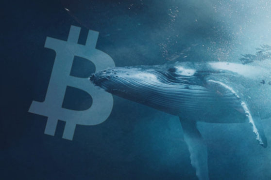 bnb币前景怎么样 bnb币前景怎么样