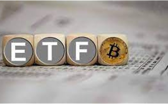 比特币和EOS的主要区别 | 数字货币投资选择指南
