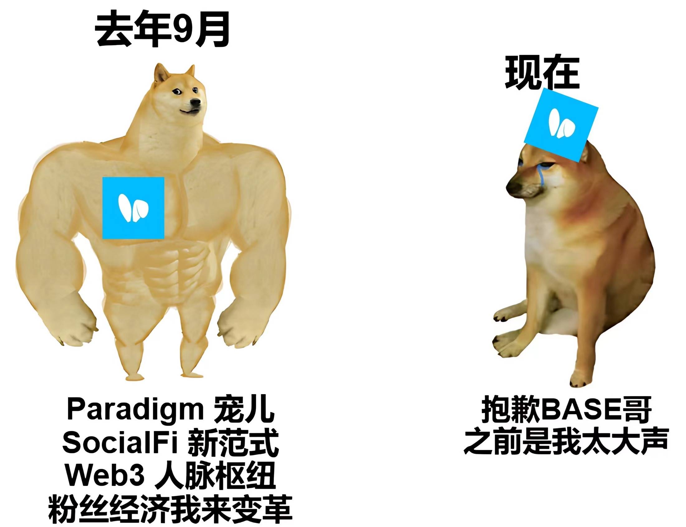 如何看待币圈一波又一波的韭菜 如何看待币圈一波又一波的韭菜